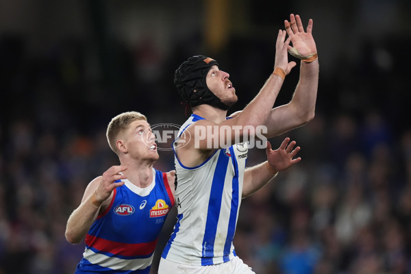 AFL 2024 Round 16 - North Melbourne v Western Bulldogs - A-51432243