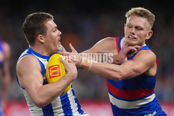 AFL 2024 Round 16 - North Melbourne v Western Bulldogs - A-51432248