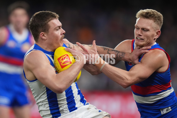 AFL 2024 Round 16 - North Melbourne v Western Bulldogs - A-51432639