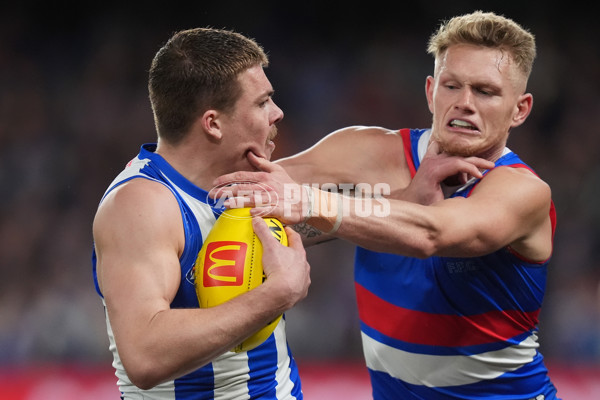 AFL 2024 Round 16 - North Melbourne v Western Bulldogs - A-51432640