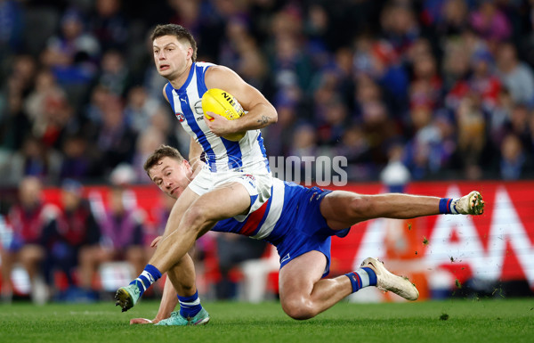 AFL 2024 Round 16 - North Melbourne v Western Bulldogs - A-51440945