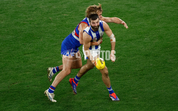 AFL 2024 Round 16 - North Melbourne v Western Bulldogs - A-51441000