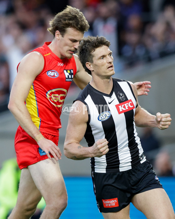 AFL 2024 Round 16 - Gold Coast v Collingwood - A-51443405