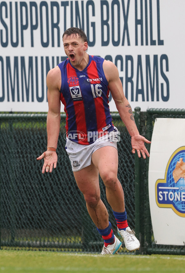 VFL 2024 Round 14 - Box Hill v Port Melbourne - A-51444409