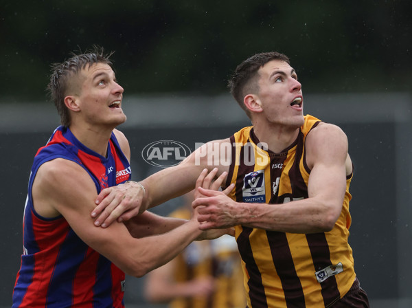 VFL 2024 Round 14 - Box Hill v Port Melbourne - A-51444411