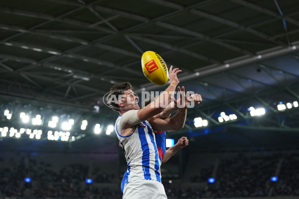 AFL 2024 Round 16 - North Melbourne v Western Bulldogs - A-51444421