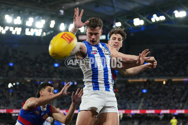 AFL 2024 Round 16 - North Melbourne v Western Bulldogs - A-51444422