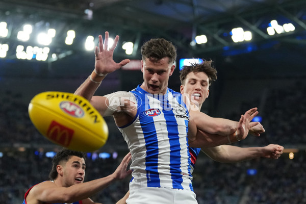 AFL 2024 Round 16 - North Melbourne v Western Bulldogs - A-51444423