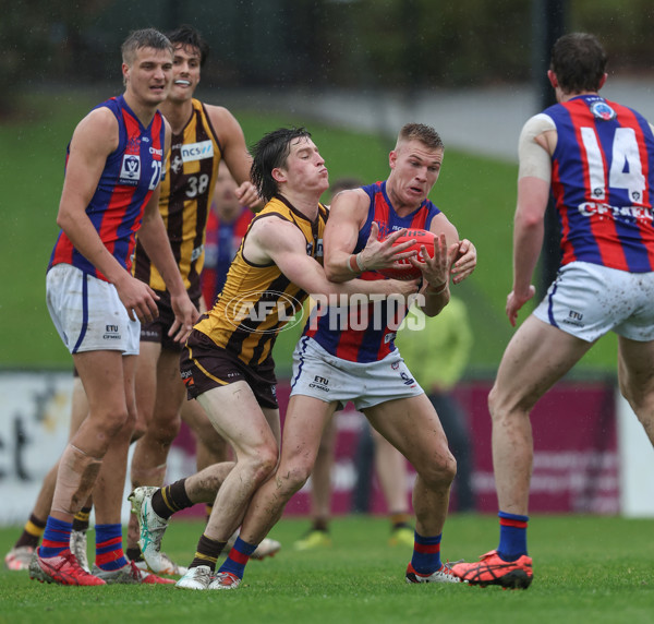 VFL 2024 Round 14 - Box Hill v Port Melbourne - A-51445772