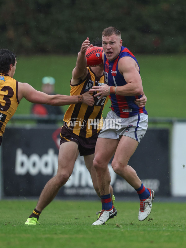 VFL 2024 Round 14 - Box Hill v Port Melbourne - A-51445773