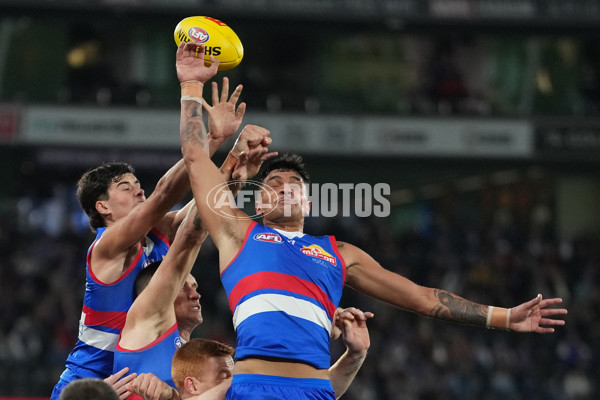 AFL 2024 Round 16 - North Melbourne v Western Bulldogs - A-51445790