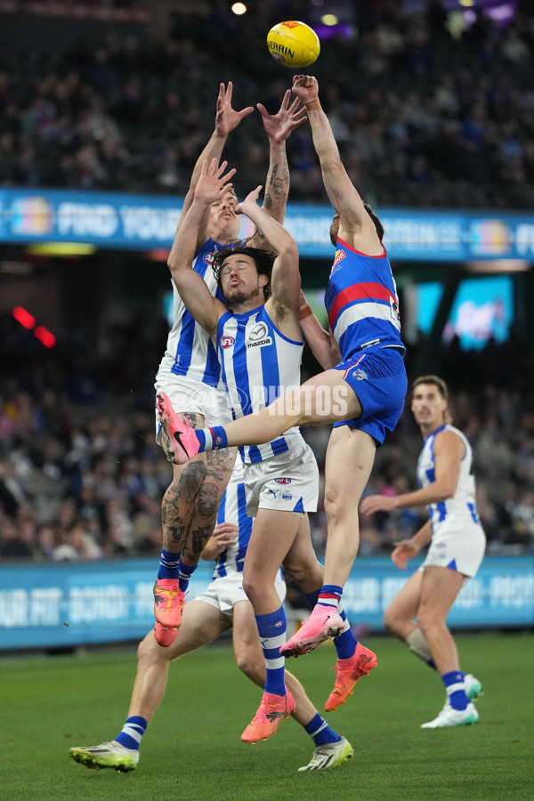 AFL 2024 Round 16 - North Melbourne v Western Bulldogs - A-51445795