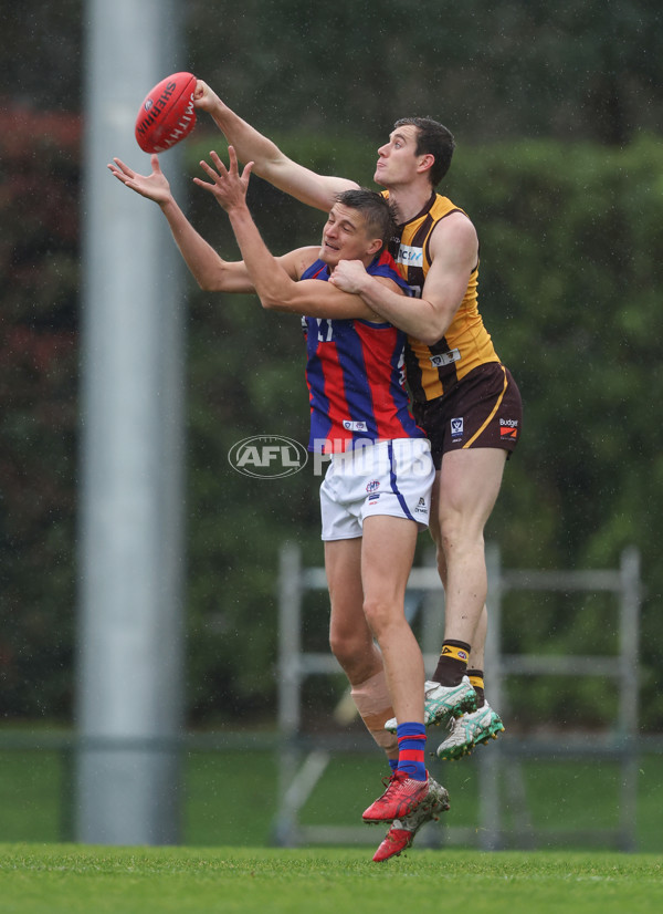 VFL 2024 Round 14 - Box Hill v Port Melbourne - A-51447233