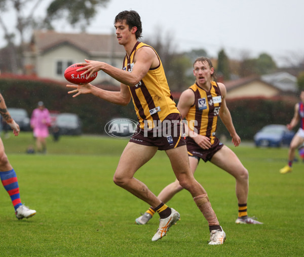 VFL 2024 Round 14 - Box Hill v Port Melbourne - A-51447238