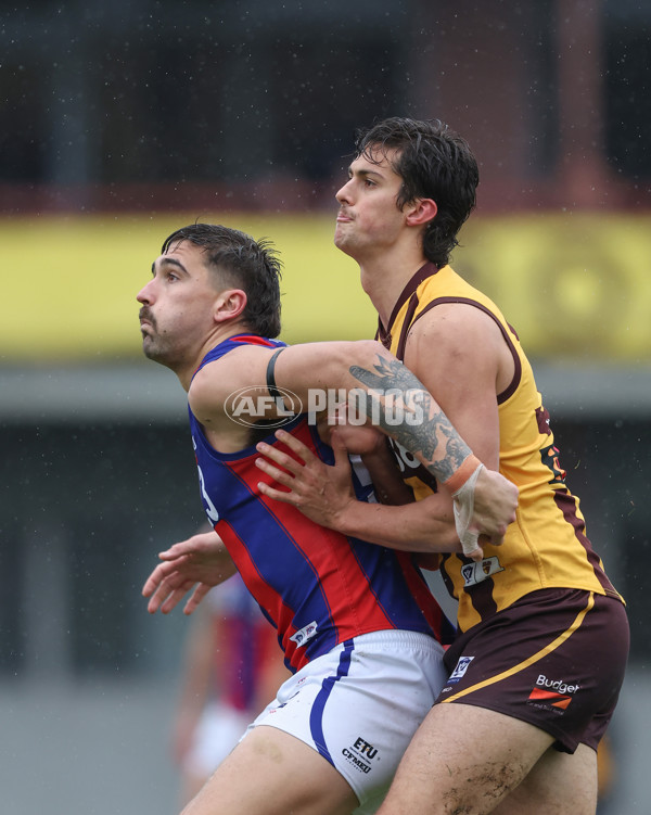 VFL 2024 Round 14 - Box Hill v Port Melbourne - A-51447239