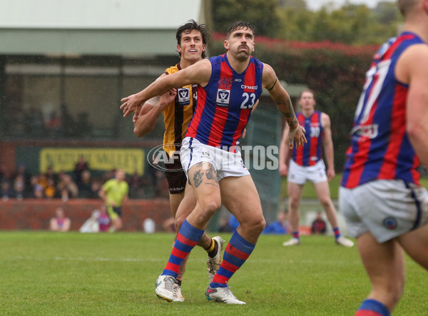 VFL 2024 Round 14 - Box Hill v Port Melbourne - A-51447242