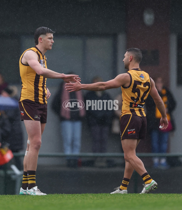 VFL 2024 Round 14 - Box Hill v Port Melbourne - A-51448503