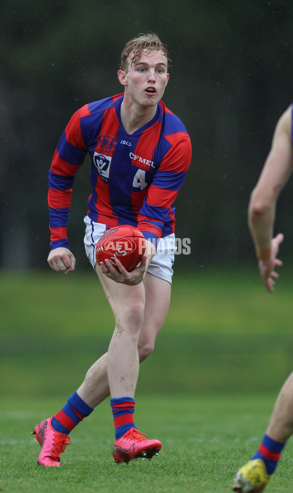 VFL 2024 Round 14 - Box Hill v Port Melbourne - A-51448564