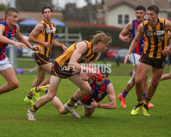 VFL 2024 Round 14 - Box Hill v Port Melbourne - A-51448567