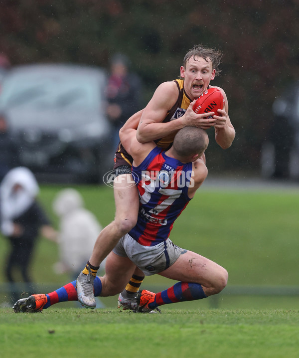 VFL 2024 Round 14 - Box Hill v Port Melbourne - A-51448568