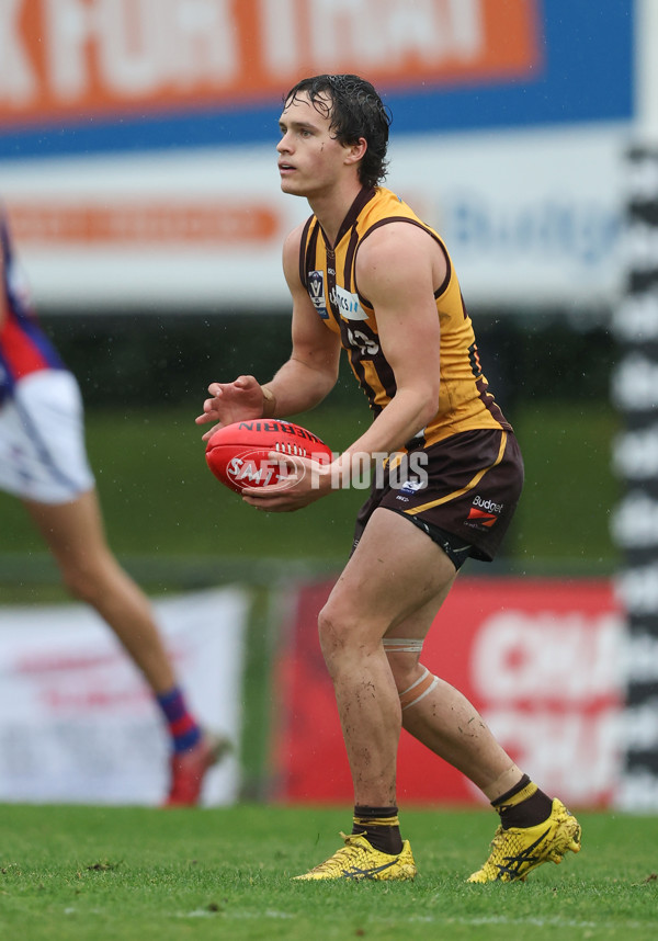 VFL 2024 Round 14 - Box Hill v Port Melbourne - A-51448571