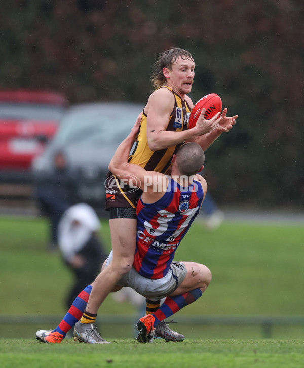 VFL 2024 Round 14 - Box Hill v Port Melbourne - A-51449921