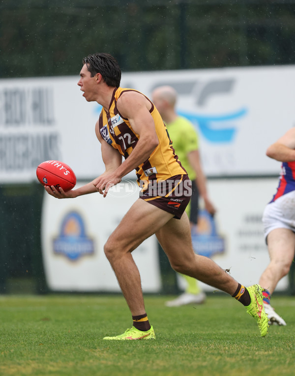 VFL 2024 Round 14 - Box Hill v Port Melbourne - A-51449969