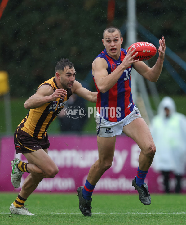 VFL 2024 Round 14 - Box Hill v Port Melbourne - A-51449973