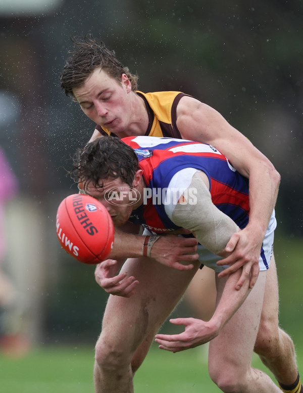 VFL 2024 Round 14 - Box Hill v Port Melbourne - A-51451136