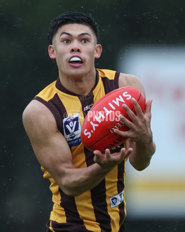 VFL 2024 Round 14 - Box Hill v Port Melbourne - A-51451138