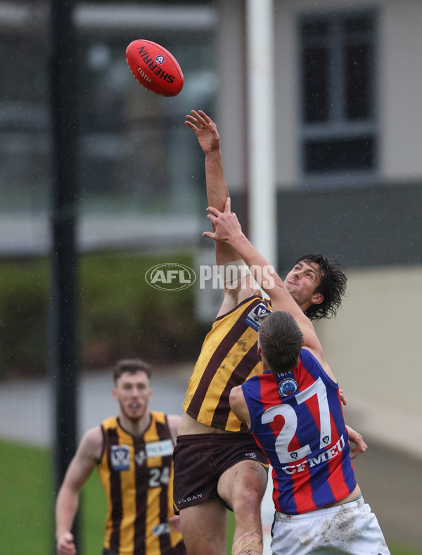 VFL 2024 Round 14 - Box Hill v Port Melbourne - A-51451210