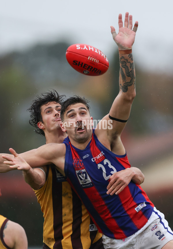 VFL 2024 Round 14 - Box Hill v Port Melbourne - A-51451214