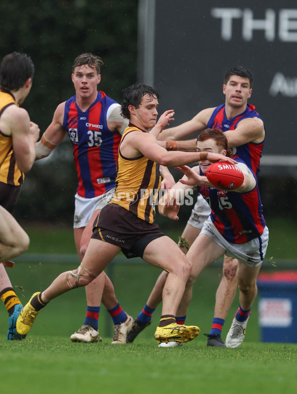 VFL 2024 Round 14 - Box Hill v Port Melbourne - A-51452790