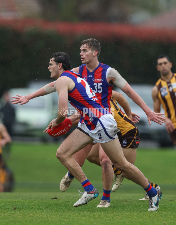 VFL 2024 Round 14 - Box Hill v Port Melbourne - A-51452791