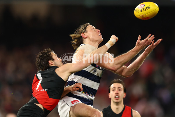 AFL 2024 Round 16 - Geelong v Essendon - A-51455320