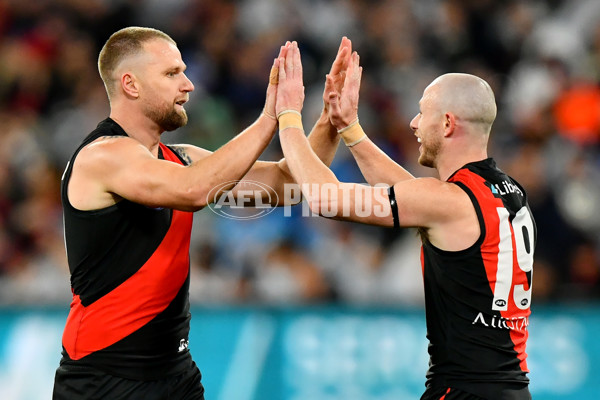 AFL 2024 Round 16 - Geelong v Essendon - A-51455329