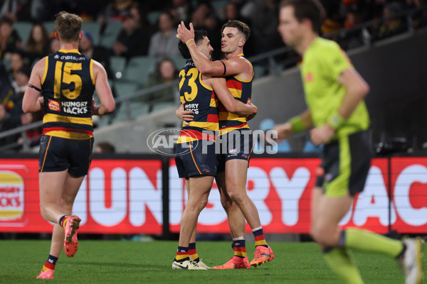 AFL 2024 Round 16 - Adelaide v GWS - A-51456986