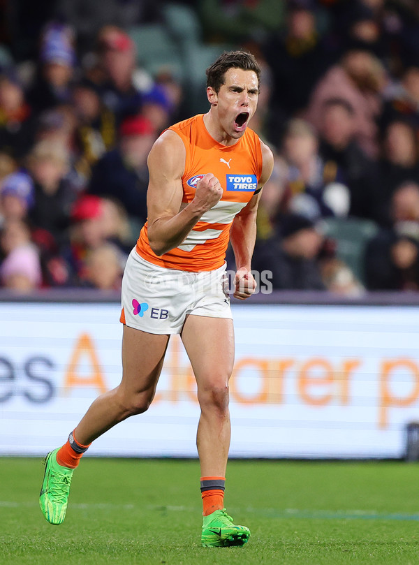 AFL 2024 Round 16 - Adelaide v GWS - A-51456999