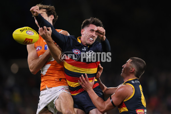 AFL 2024 Round 16 - Adelaide v GWS - A-51457010
