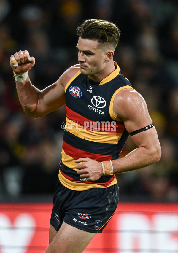 AFL 2024 Round 16 - Adelaide v GWS - A-51457031