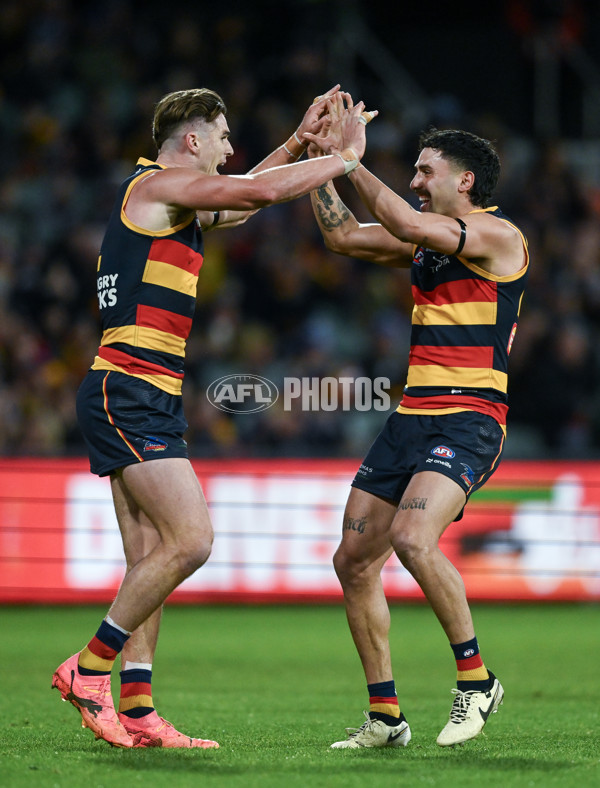 AFL 2024 Round 16 - Adelaide v GWS - A-51457034