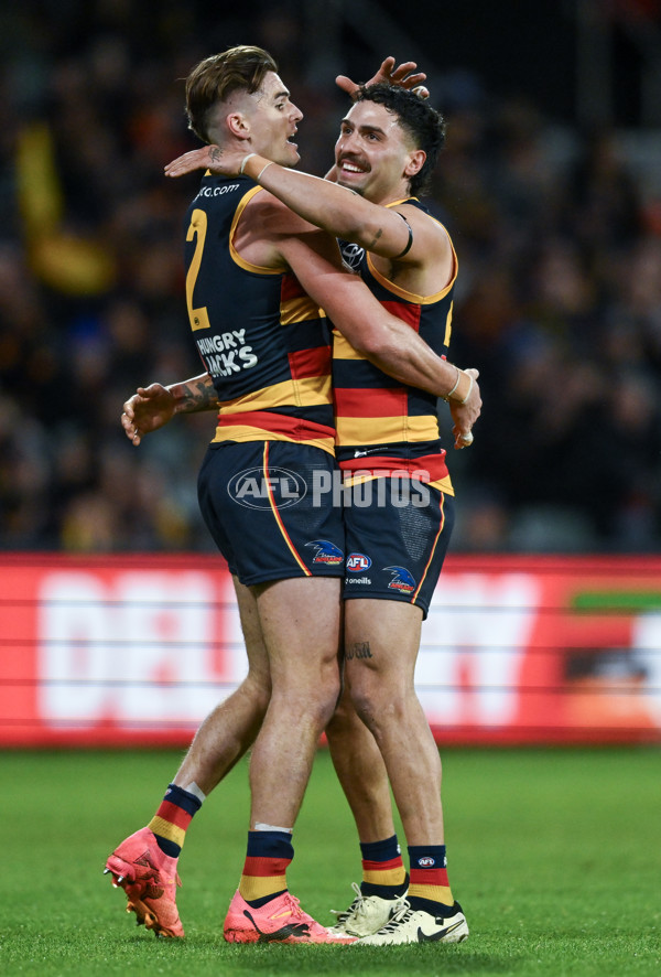 AFL 2024 Round 16 - Adelaide v GWS - A-51457035