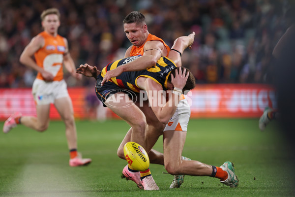 AFL 2024 Round 16 - Adelaide v GWS - A-51457060