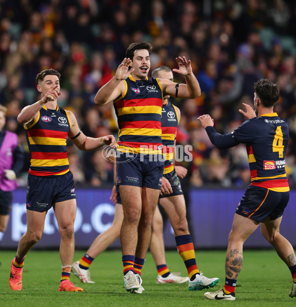 AFL 2024 Round 16 - Adelaide v GWS - A-51457070