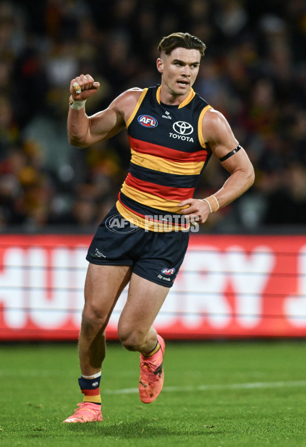 AFL 2024 Round 16 - Adelaide v GWS - A-51458196