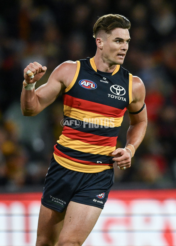 AFL 2024 Round 16 - Adelaide v GWS - A-51458197