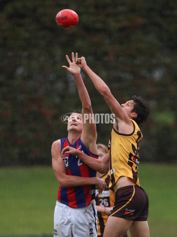 VFL 2024 Round 14 - Box Hill v Port Melbourne - A-51458246