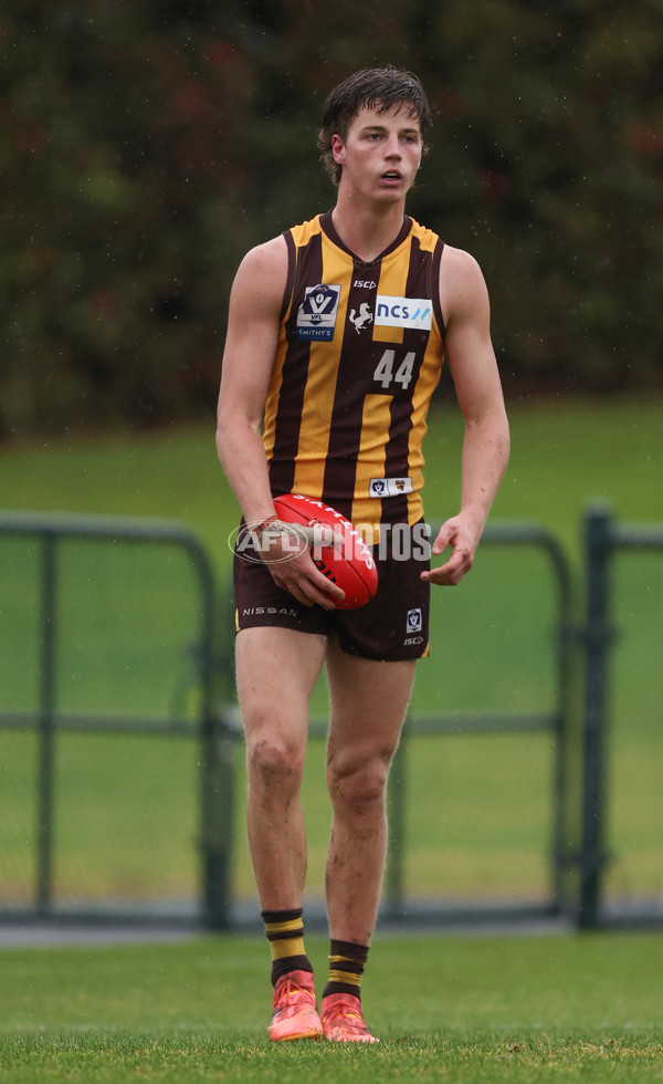 VFL 2024 Round 14 - Box Hill v Port Melbourne - A-51458247