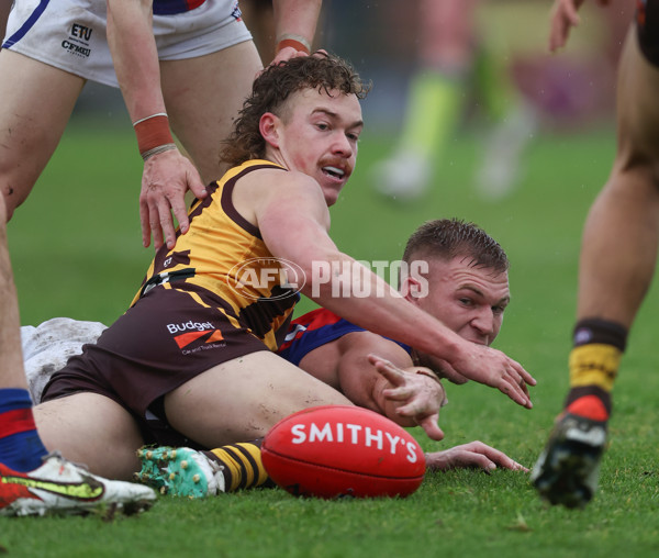 VFL 2024 Round 14 - Box Hill v Port Melbourne - A-51458250