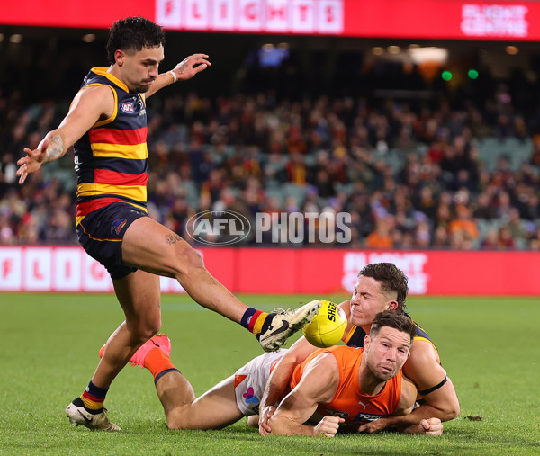 AFL 2024 Round 16 - Adelaide v GWS - A-51459409